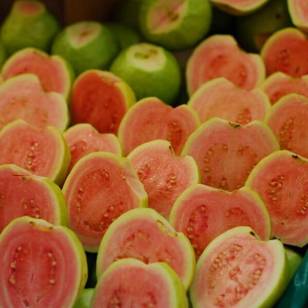 Pink Guava Slice